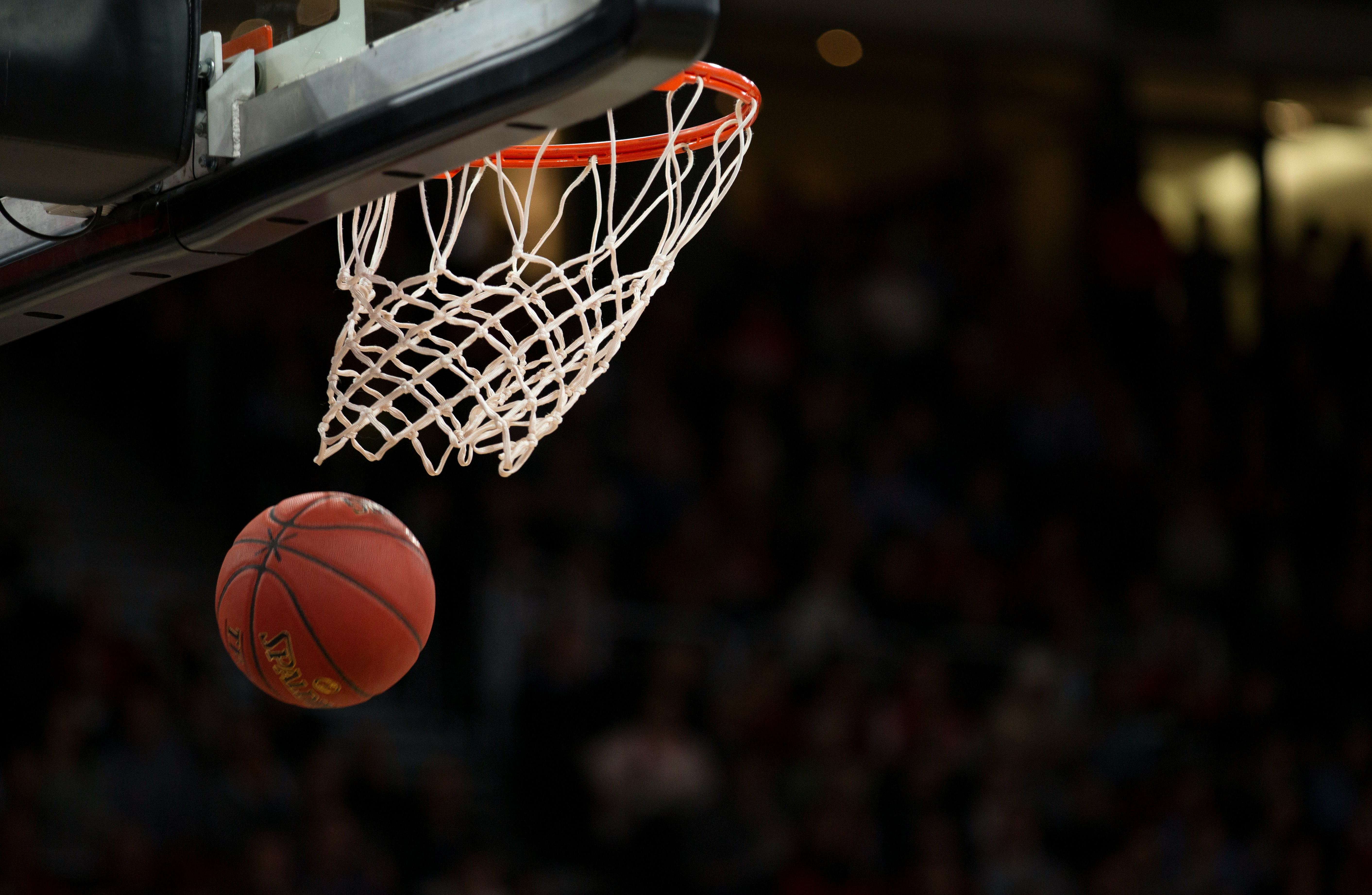 NBA Analysis